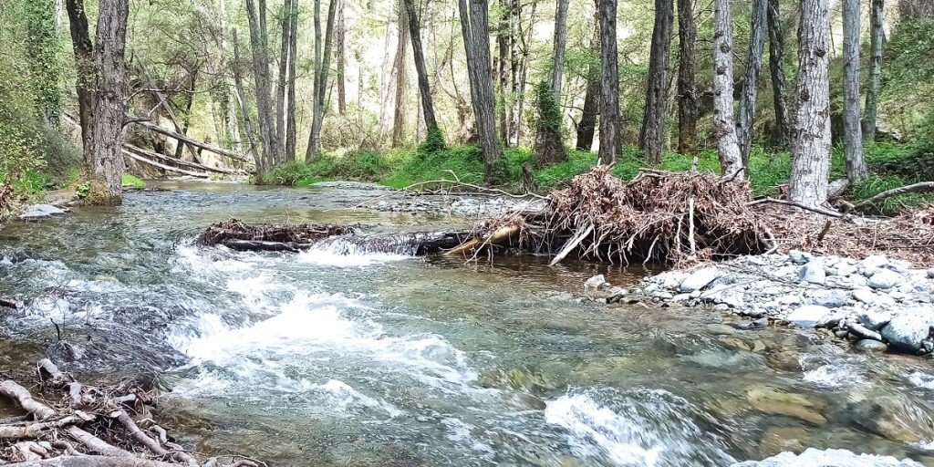 Ο Περί Προστασίας και Διαχείρισης των Υδάτων Νόμος